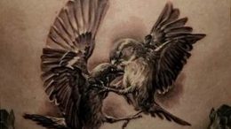 рисунка тату воробей 03.12.2018 №153 - photo tattoo sparrow - tattoo-photo.ru